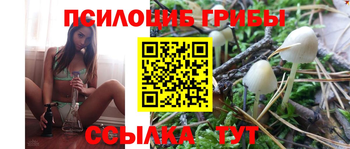 Псилоцибиновые грибы MAGIC MUSHROOMS Мыски